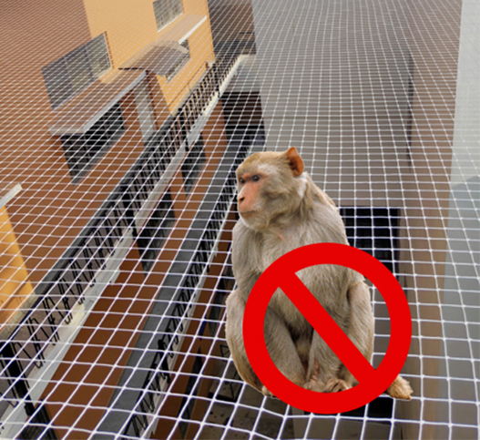 Monkey Safety Nets